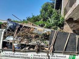 Best Basement Cleanout  in Beacon Hill, WA